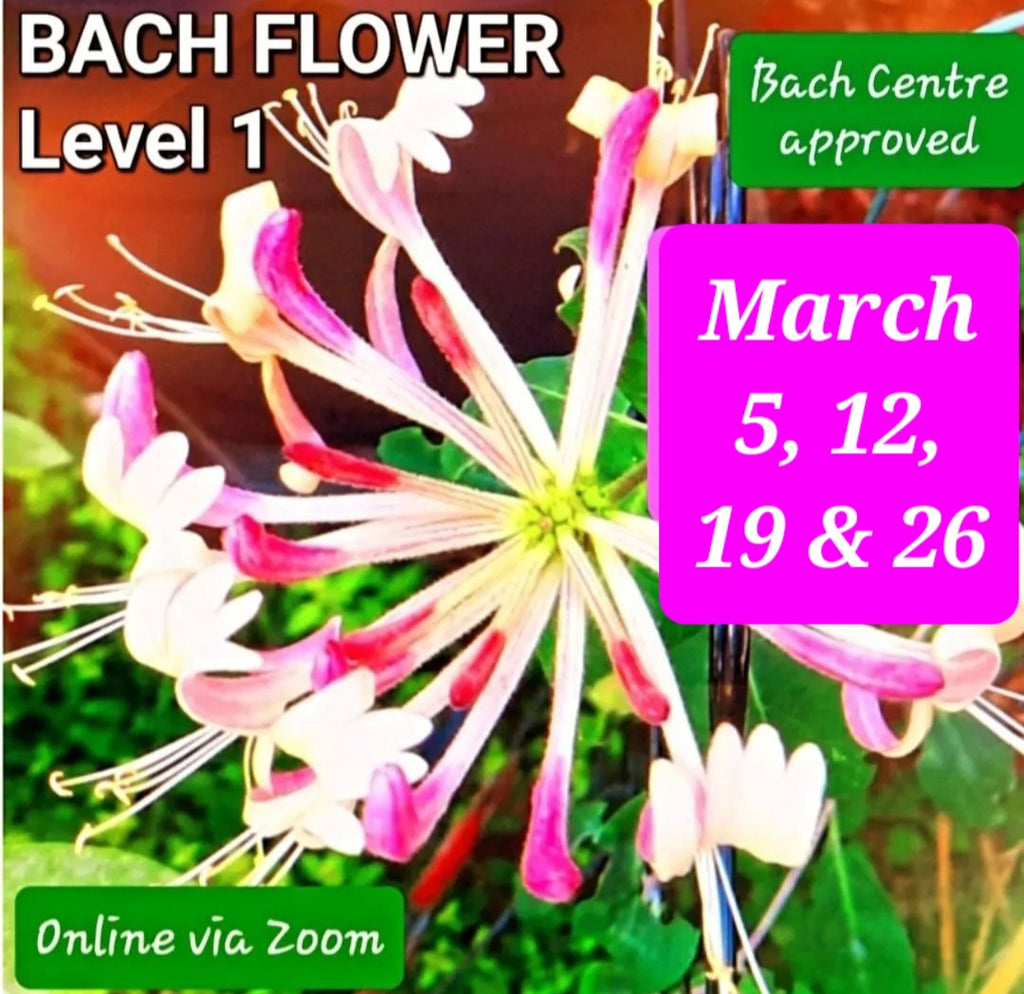 Level 1 Bach Flower Course ~ via Zoom ~ March 2025